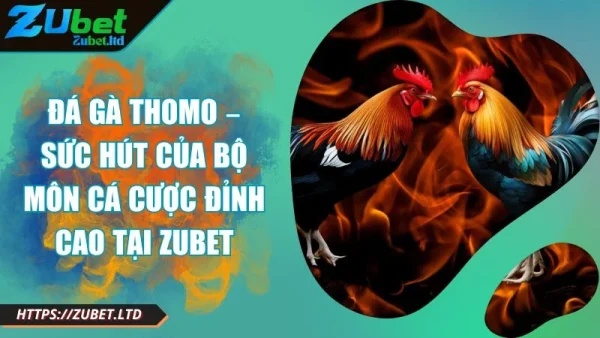 Ảnh đại diện đá gà Thomo