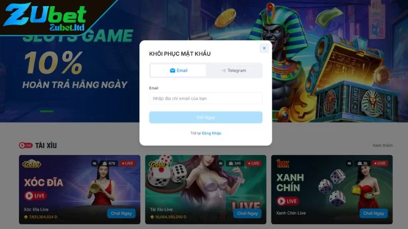 Hướng Dẫn Đăng Nhập ZUBET Thành Công Ngay Lần Đầu Các câu hỏi thường gặp và cách xử lý khi đăng nhập ZUBET