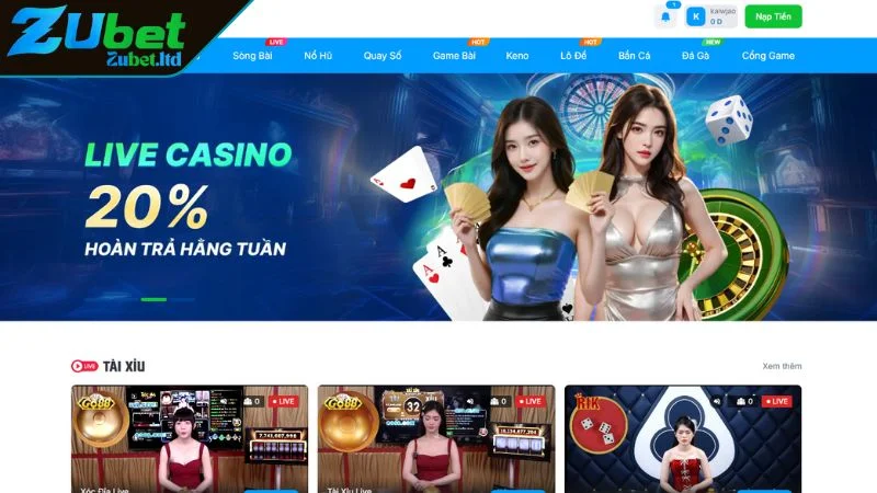 Tổng Hợp Các Chương Trình Khuyến Mãi ZUBET Bùng Nổ 2025 Những điều cần lưu ý để tận dụng tối đa khuyến mãi ZUBET