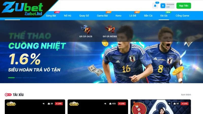 Tổng quan về thế giới đá gà ZUBET